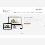 Agency Wordpress theme by Themify