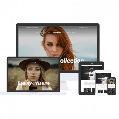 Amaryllis Theme by Css Igniter Themes