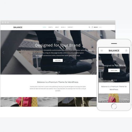 Balance Wordpress Theme by WPZOOM