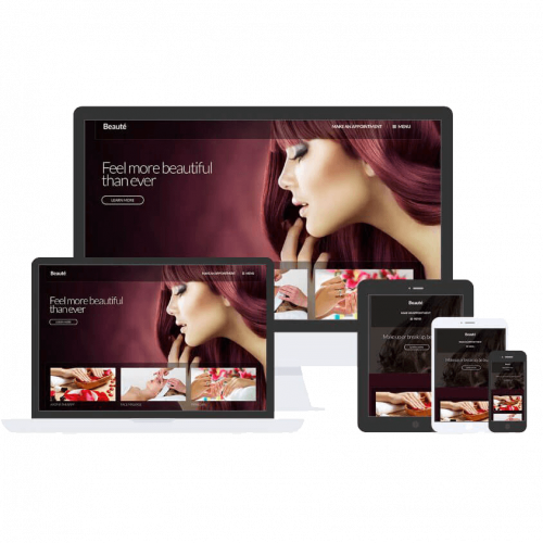 Beaute Theme by Css Igniter Themes