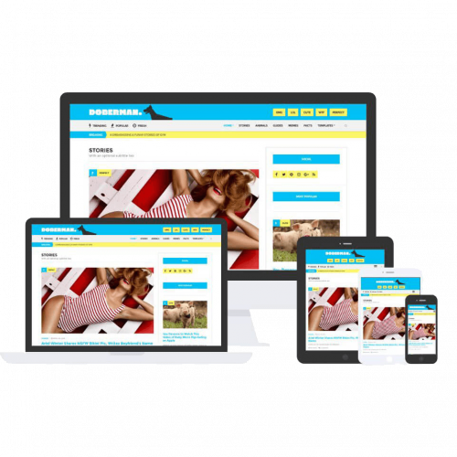 Doberman Theme by Css Igniter Themes