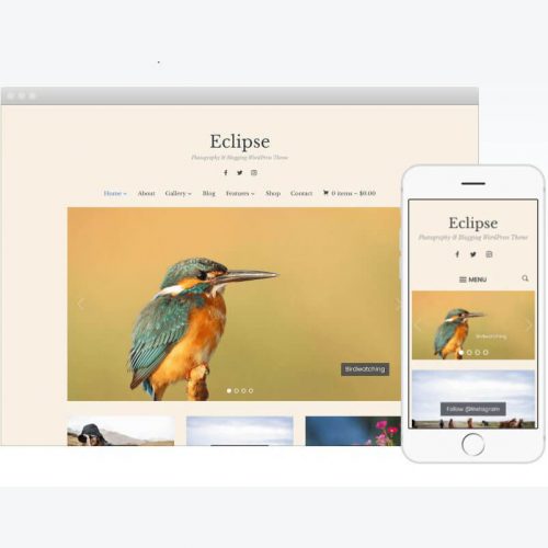 Eclipse Wordpress Theme by WPZOOM