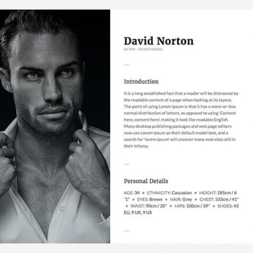 Elementorism Egoist Landing Page Template