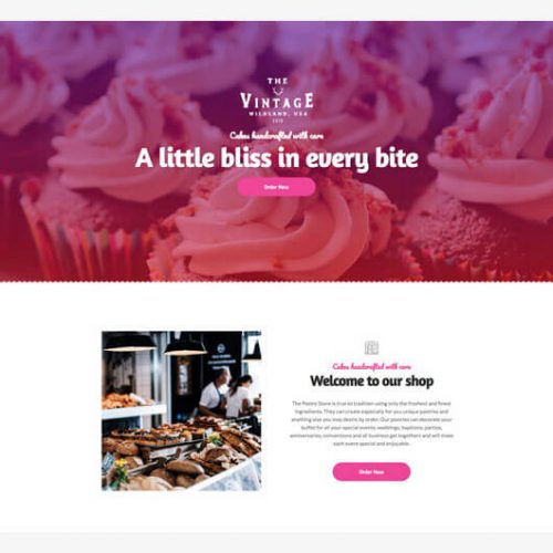 Elementorism Vintage Landing Page Template