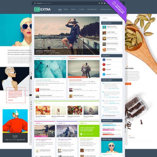 Extra Theme - Ultimate Magazine by Elegant Themes