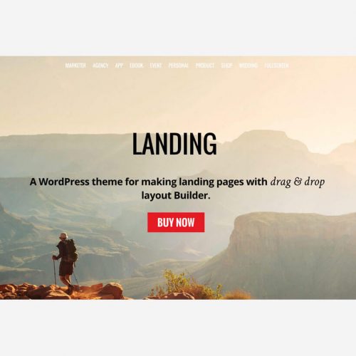 Landing Wordpress theme by Themify