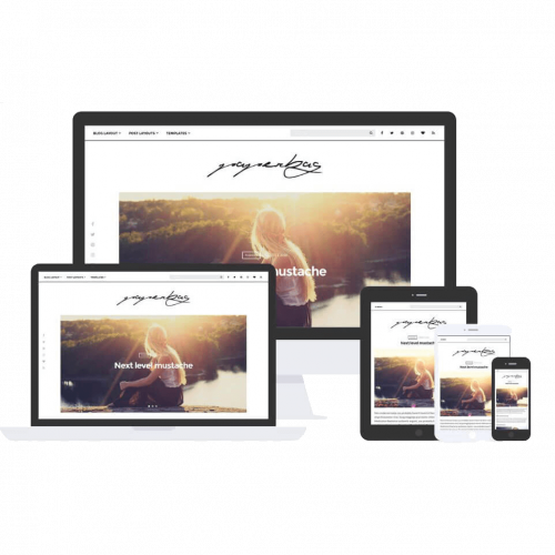 Paperbag Theme by Css Igniter Themes