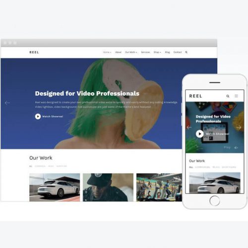 Reel Wordpress Theme by WPZOOM