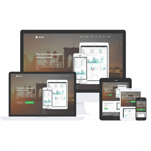 Struct Theme by Css Igniter Themes