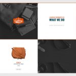 Elementorism Collins Landing Page Template