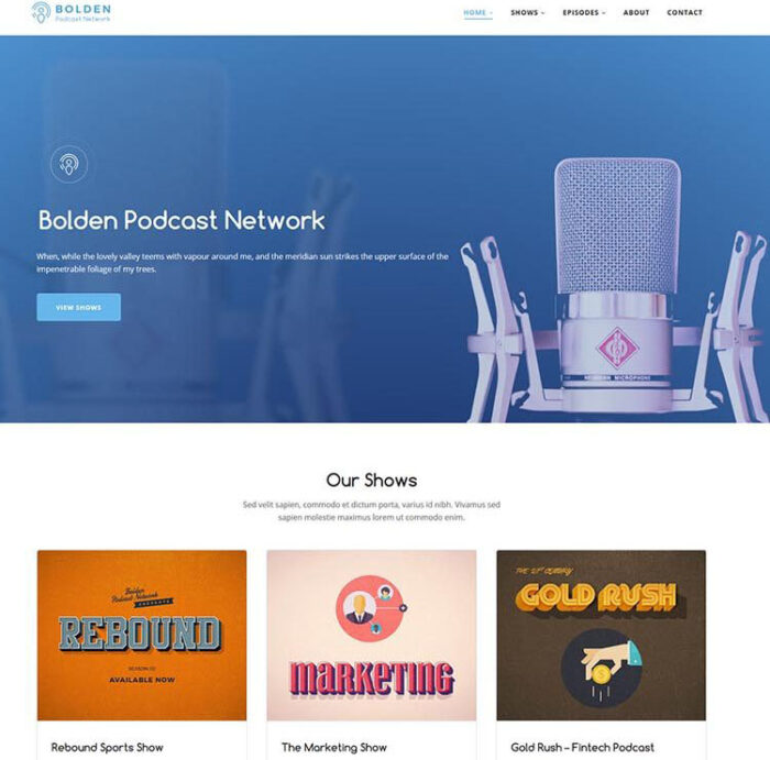 Bolden WordPress Theme by Second Line Themes