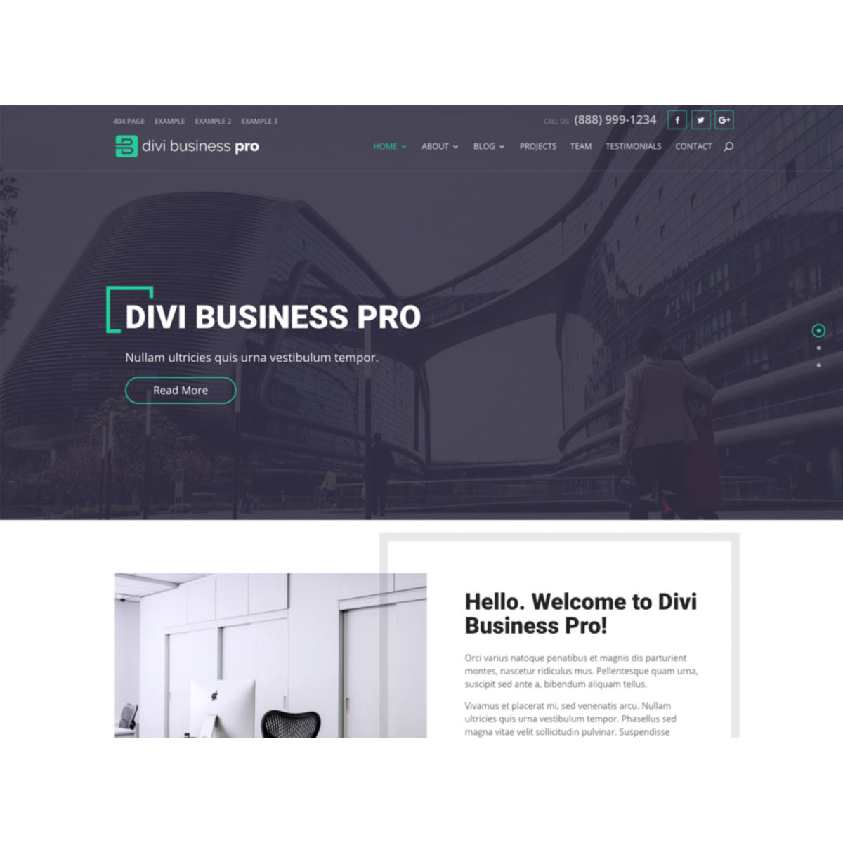 Divi Business Pro Theme